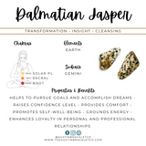 Dreams to Reality | Dalmatian Jasper & Antiqued Gold Diffuser Bracelet